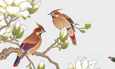 穿衣色彩攻略:2022年9月25日五行穿衣属性查询