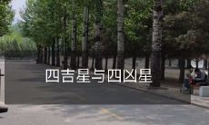 四吉星与四凶星