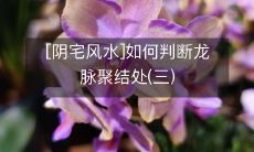 [阴宅风水]如何判断龙脉聚结处(三)