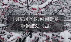 [阴宅风水]如何判断龙脉聚结处（四）