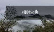 招财宝典