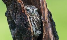 吉相侗姓名评分95分