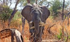 廉慧英姓名评分79分