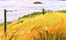 十二星座代表什么小说