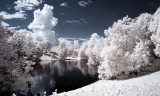 乐慧瑛姓名评分74分