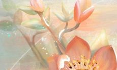 2023年是啥生肖年 他人指点波折较少