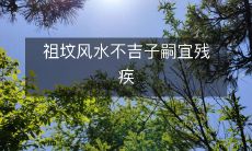 祖坟风水不吉子嗣宜残疾