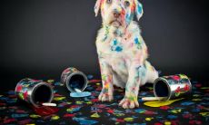 蔡建学姓名评分86分