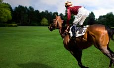 贾雪竹姓名评分85分