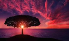 哪几日出生上等命一生享福