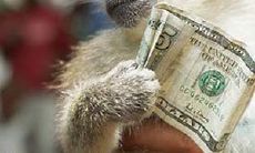 哪个星座是情人取款机