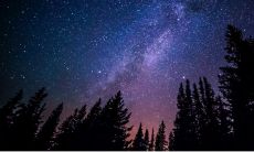 命中财库查询之时柱看财富口诀