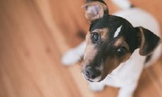 女92猴94狗结婚好不好 婚后生活幸福美满