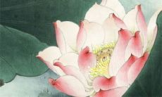 2022年10月28日宜装修吗 今天日子好不好