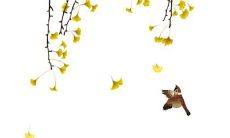 2022年10月4日重阳节装修房子好吗 装修吉日是今天吗