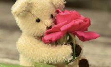 属羊的比属狗大3岁结婚后果 适合做夫妻吗