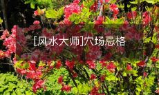 [风水大师]穴场忌格