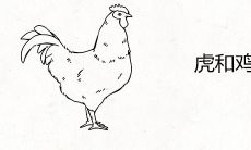 虎和鸡相配吗 能白头到老吗