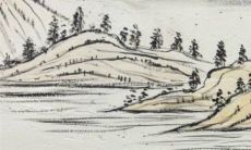 2023年属牛的运势怎么样 2023年对属牛的人好不好