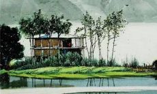 2023年1月31日有哪些特吉生肖十二生肖运势排行