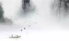 2023年生肖虎可以装修房子吗 时机不佳努力赚钱