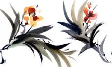 2023年什么生肖财运好 流年大运家门兴旺