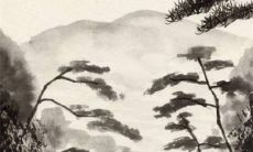 2023年生肖鼠的幸运色 事业顺心学会养生