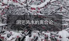 阴宅风水的离合论