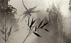 2023年1月10日今日属什么生肖特吉生肖查询