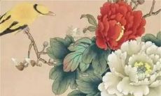 2023年1月7日有哪些特吉生肖十二生肖运势排行