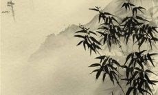 12生肖运:2023年1月13日属什么 特吉生肖是哪几个