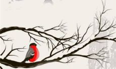 12生肖运势小报2023年1月8日特吉生肖运程详情