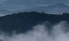 2023年狗年运势及运程 节节高升劳逸结合