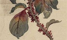 今日特吉生肖：2023年1月14日生肖运势盘点