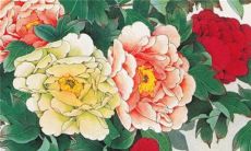 2023年1月9日特吉生肖查询冲煞生肖情况