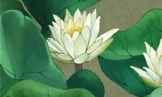 2023年什么生肖运势最好 大富大贵人生圆满