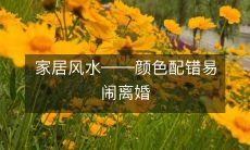家居风水――颜色配错易闹离婚