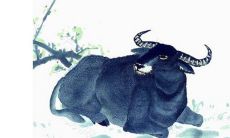 属狗犯冲的四个属相 互不相让矛盾不断