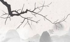 2023年是属牛最大转变的一年吗 兔年属牛人的全年运势