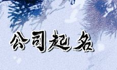 财务公司名字取名 适合财务公司取的名字