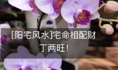 [阳宅风水]宅命相配财丁两旺！