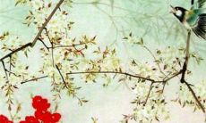 今日五行穿衣:2022年10月8日寒露穿什么颜色旺运势