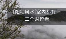 [阳宅风水]室内都有一二个财位看