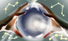 不得不看的十二星座EQ排名