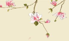 2022年10月14日五行穿衣指南 今日穿衣早知道