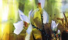 印度嫁女儿为什么要这么多嫁妆 印度嫁妆制度