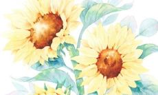 结婚女方需要买什么陪嫁物品 女方的陪嫁钱属于共同财产吗