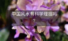 中国风水有科学理据吗？