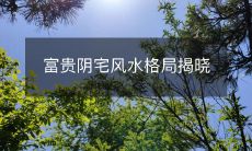 富贵阴宅风水格局揭晓