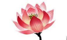 结婚陪嫁用品有哪些 有哪些必备物品